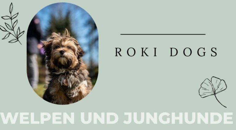 Welpengruppe Hundeschule Ratingen