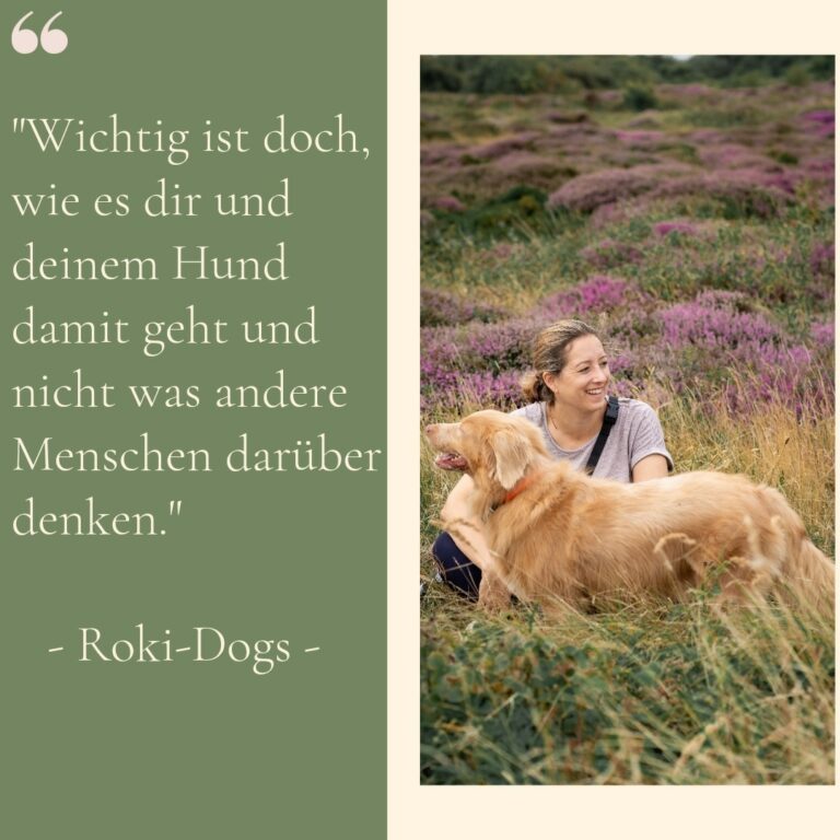 hundetraining-hund-ratingen-roki-dogs