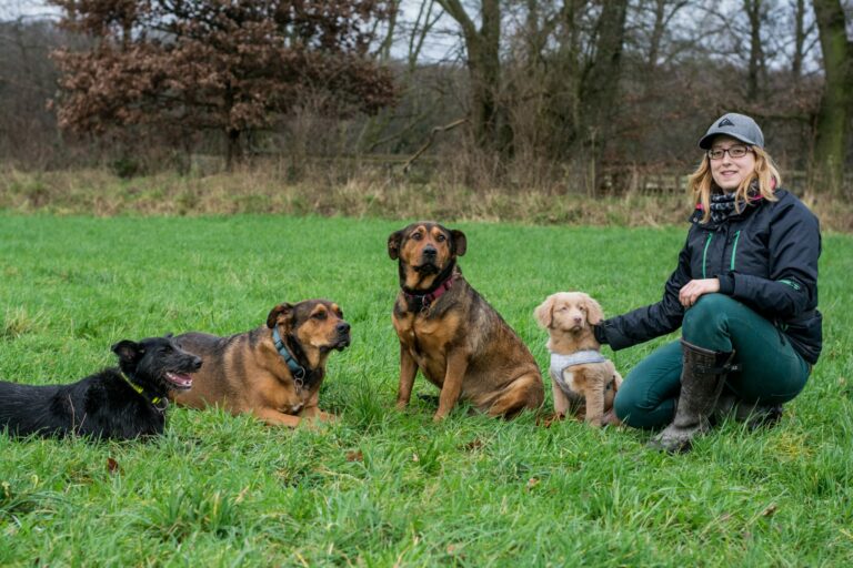 Hundetrainerin-ratingen